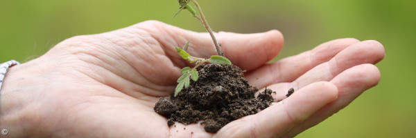 Beispielbild für Entwicklungsgespräch